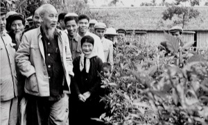 Quê hương nghĩa trọng tình cao